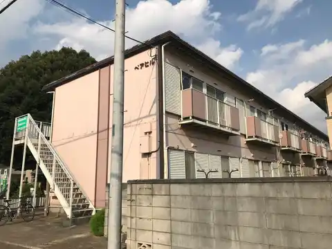 ペアヒル
