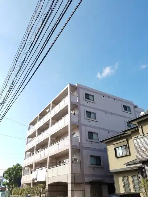 CATAKA CHEETA