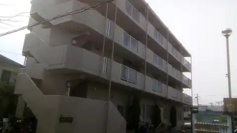 メイプルV