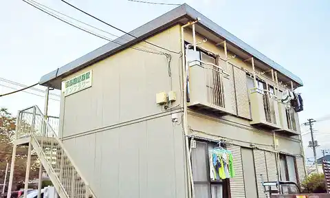 サンフラワー