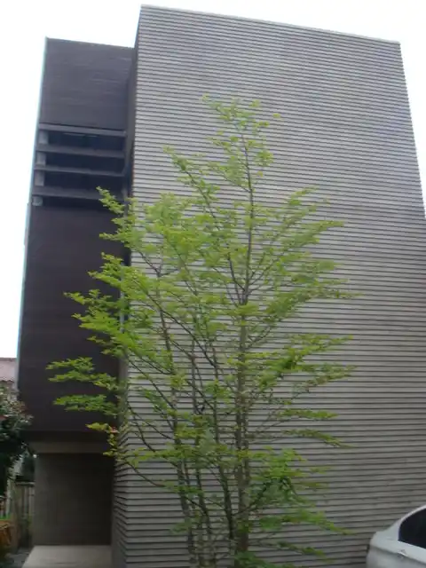 KRJ