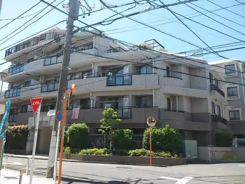 ラコスタ12木月