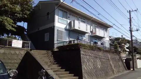 ニューシティエース