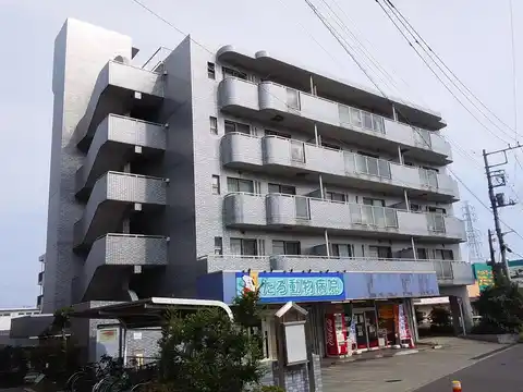 エバーライフ2