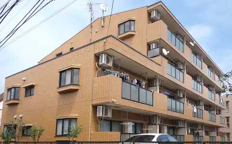 フィレオ・ベルツリー