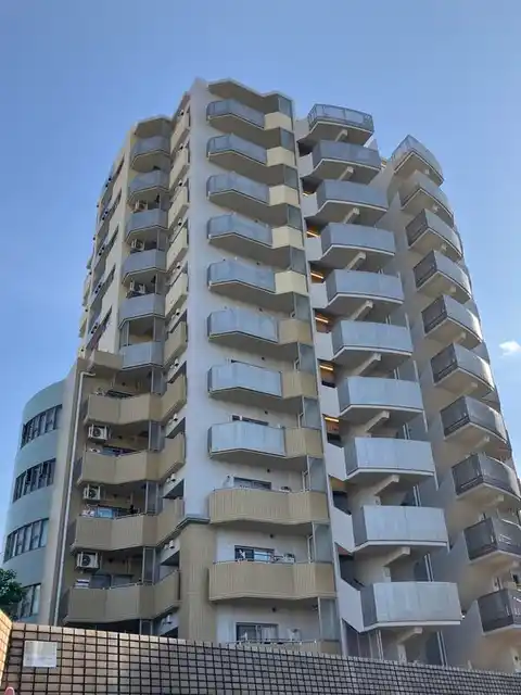 コラム神泉