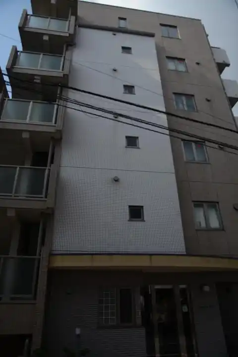 パピエ・レイ