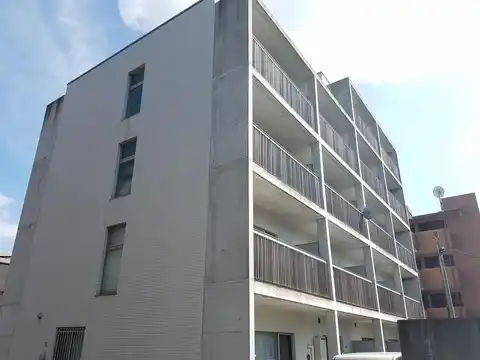 シャンス