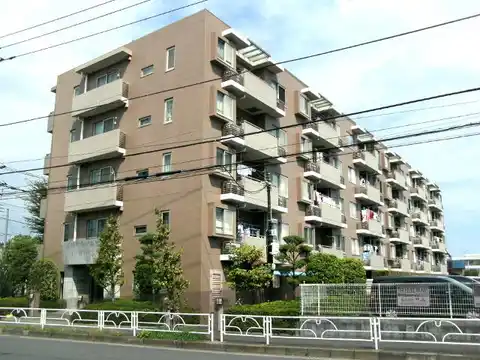 ステイツ花小金井VER・PASEO