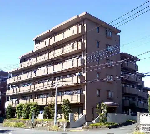フレール森野