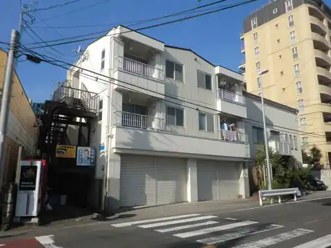 フェンネル藤沢