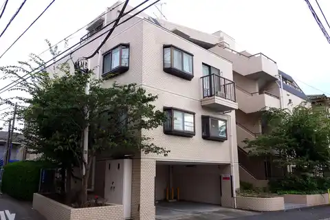 エルヴィーナ・溝ノ口