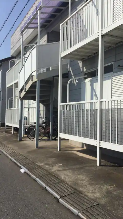 コーポラス テンダー