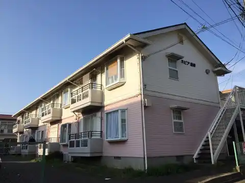ネピア湘南