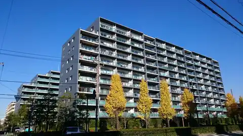 シティテラス板橋蓮根