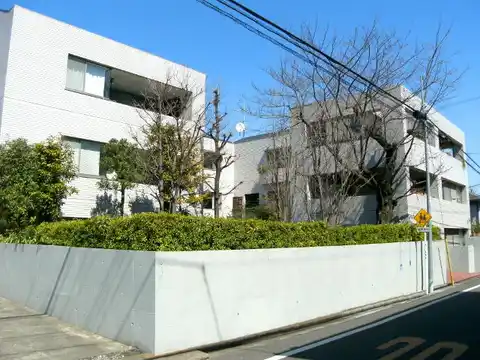 パインコート