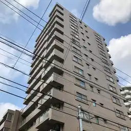 ルイシャトレ川崎 外観