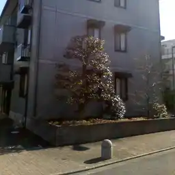 サンフルさがみ野 C 外観