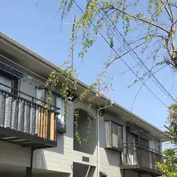 マイハウス 外観