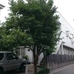 アロハウス 外観