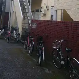 アレックス楓 外観