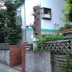 マシャンブル大野 外観