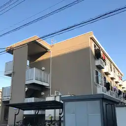カリン 外観