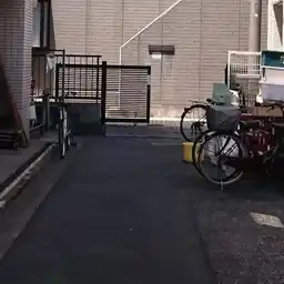 フェローワラビ 外観