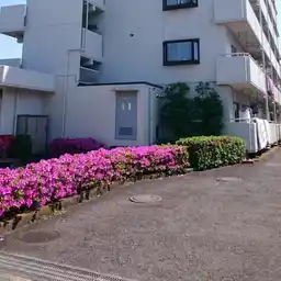 リリーズタウン 外観