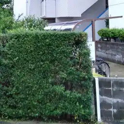 高峰コーポ III 外観