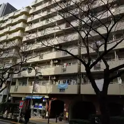 第5桜台ファミリーマンション東館 外観