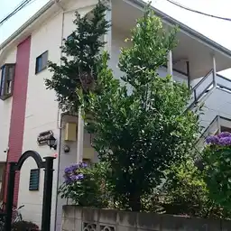 ロイヤル・タカラII 外観