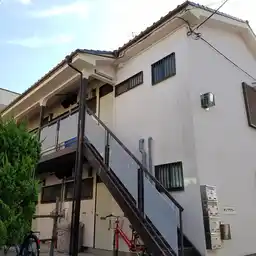 サンフラワー