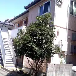 アムール1 外観