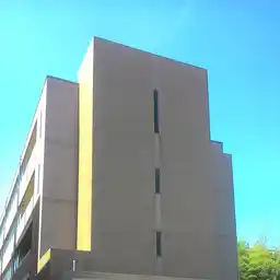 MERVEILLEMIYAMAE
