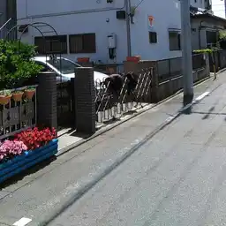 AP OGAWA 外観