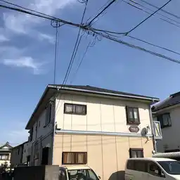 カモミール 外観