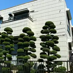 メゾンリエール 外観