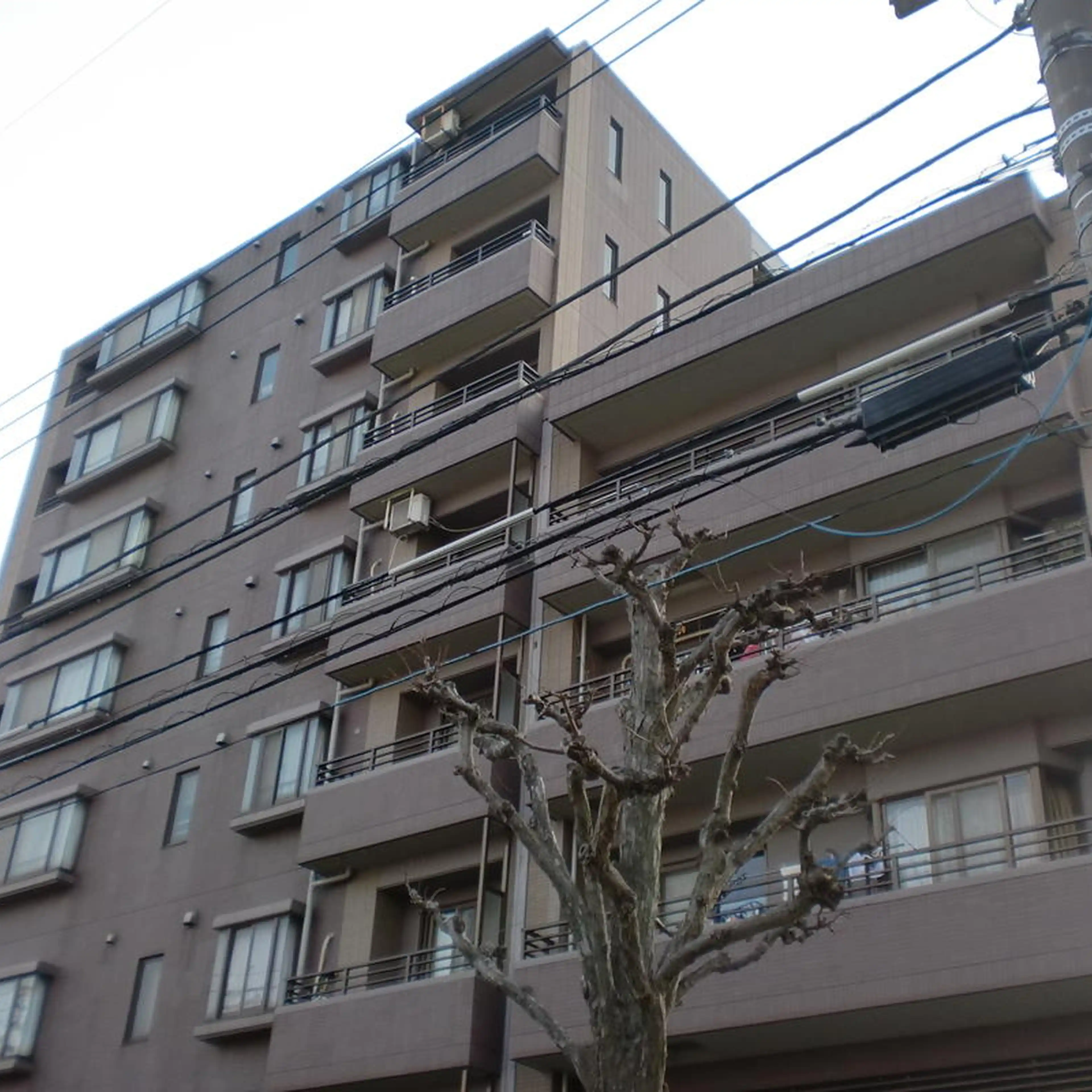 レクセルマンションお花茶屋 外観