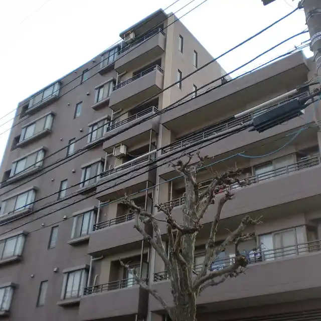 レクセルマンションお花茶屋