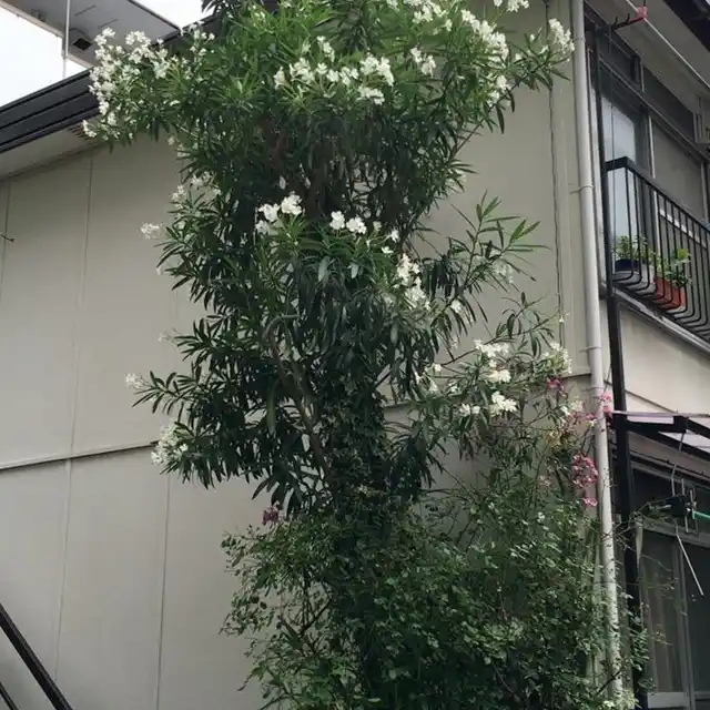 飯塚ハウス