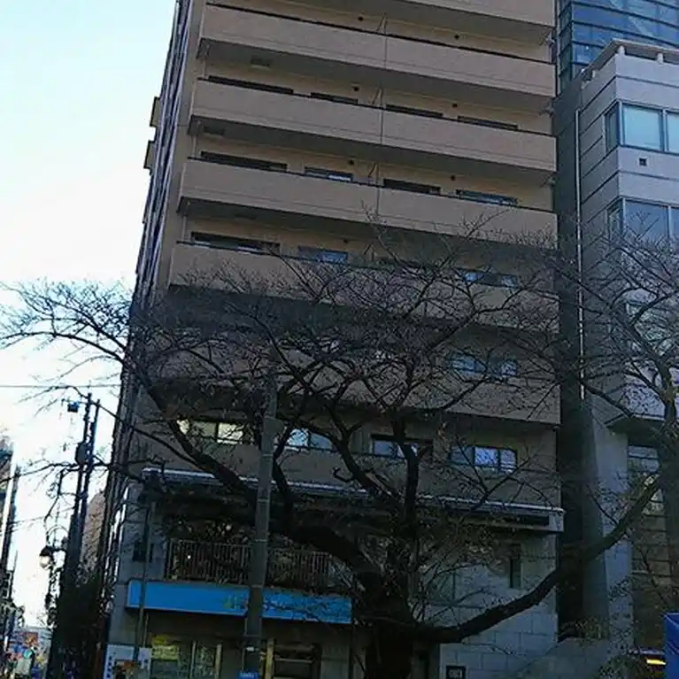 ナイスアーバン国立大学通り