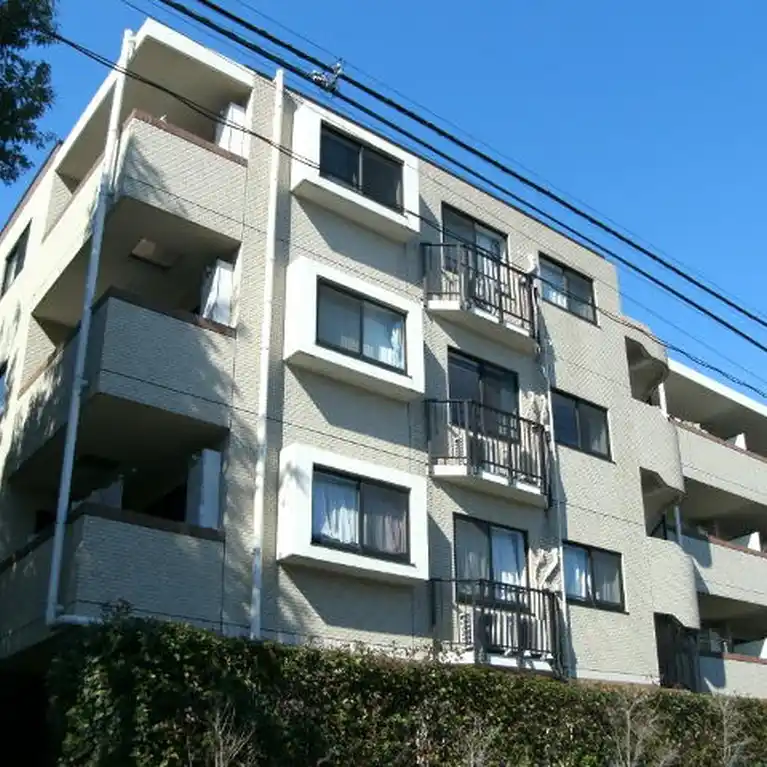 アデニウム千歳烏山