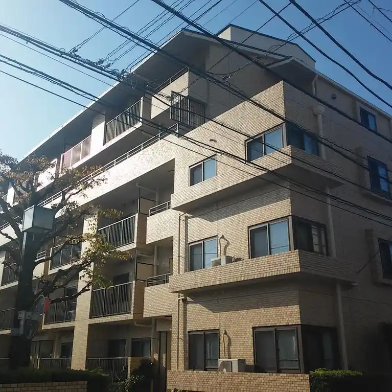 セルコヴァハイツ綱島