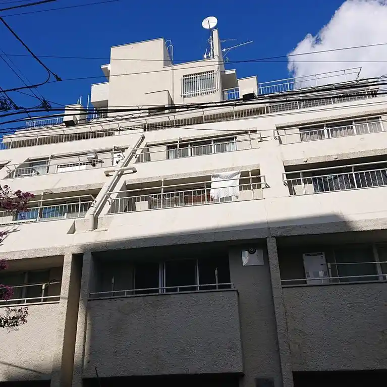 藤ハイツ
