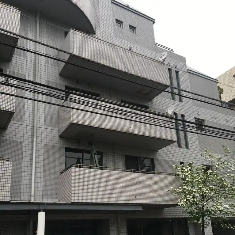 CHANEX 外観