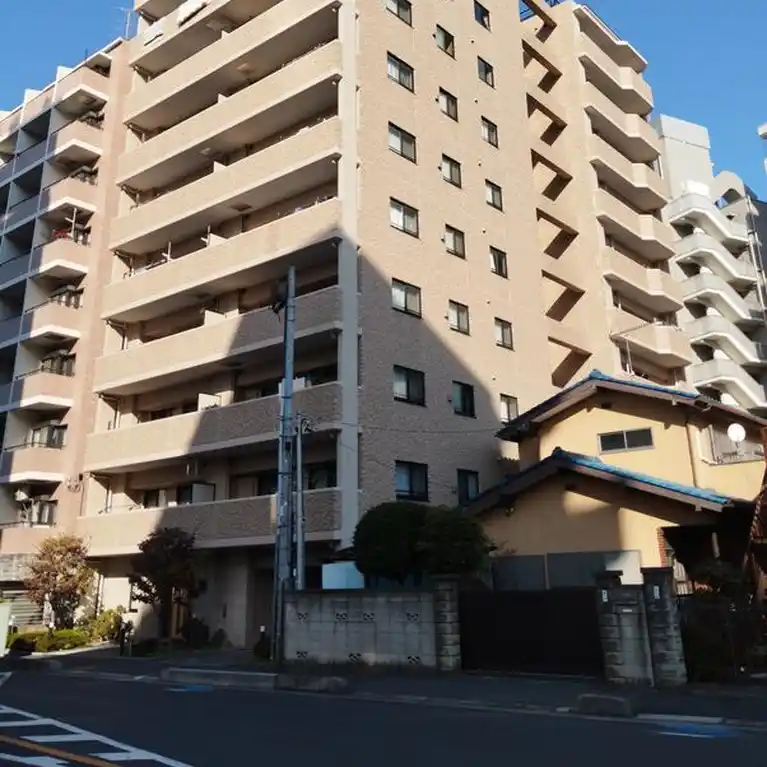 カテリーナ川口並木