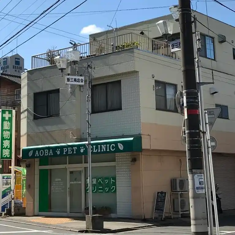 カーサキュエ 外観