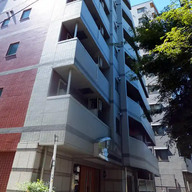 アヴィニティー高円寺南 外観