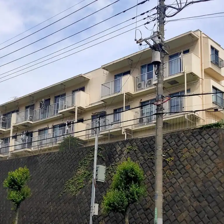 サンシャイン花沢